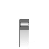 Rouleaux cylindriques et aiguilles de cylindre